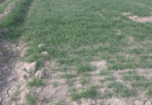 Non-developable land for sale on laguna san juan, Morata de Tajuña, ref: TR70731 photo