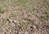 Non-developable land for sale on laguna san juan, Morata de Tajuña, ref: TR70731 photo