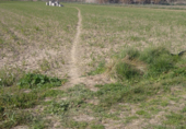 Non-developable land for sale on laguna san juan, Morata de Tajuña, ref: TR70731 photo