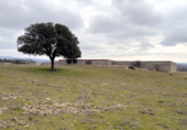 Industrial warehouse for sale on M-127, La Cabrera, ref: TR70958 photo