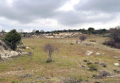 Industrial warehouse for sale on M-127, La Cabrera, ref: TR70958 photo