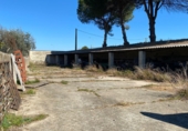 Nave industrial en venta en la EX-355, Madrigalejo, ref: TR72342 foto