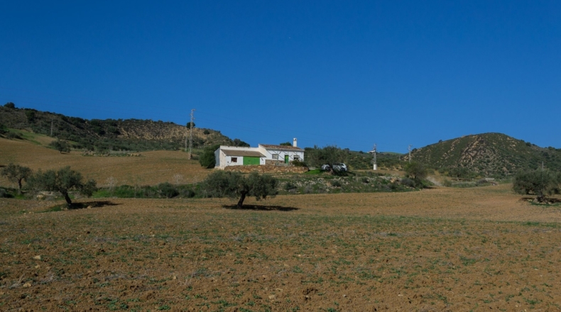 Málaga - Álora - 141240m2