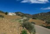 Finca rústica en venda a la Camino Almojia, Álora, ref.: TR72475 foto