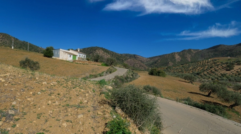 Málaga - Álora - 141240m2