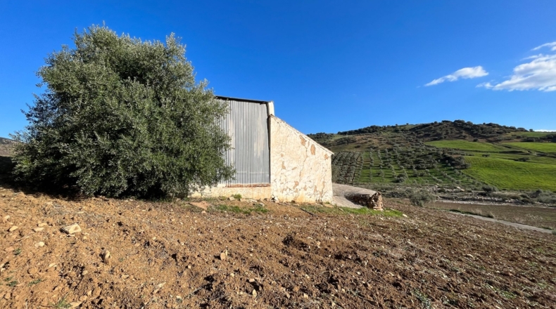 Málaga - Álora - 141240m2