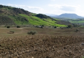 Finca rústica en venda a la Camino Almojia, Álora, ref.: TR72475 foto