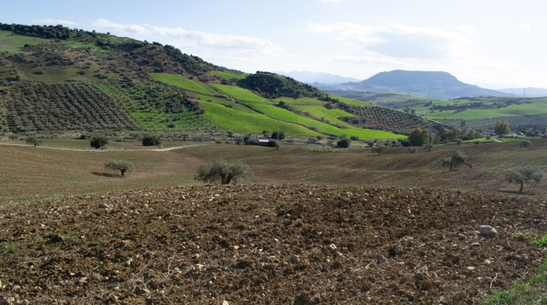 Málaga - Álora - 141240m2