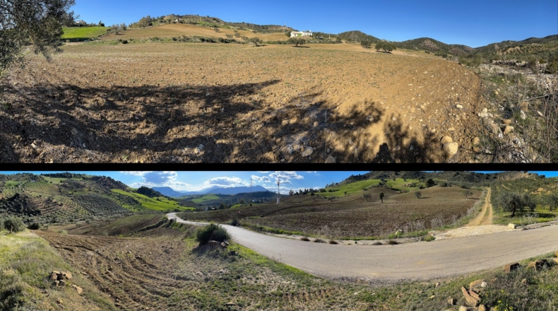 Málaga - Álora - 141240m2