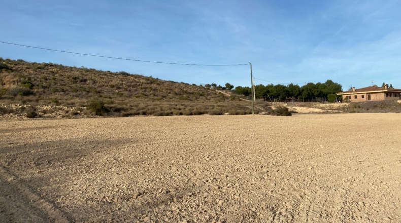 Alicante - Alicante - 23854m2