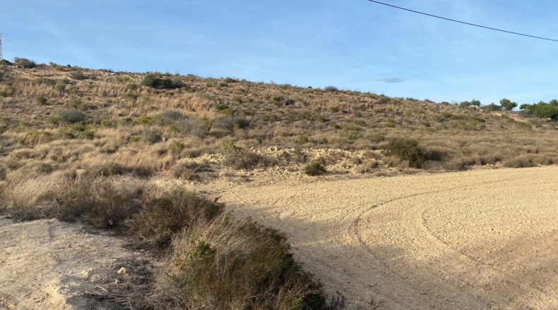 Alicante - Alicante - 23854m2