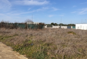 Pelabravo 425&nbsp;m² 
