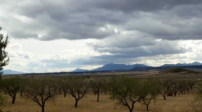 Murcia - Cieza - 480000m2