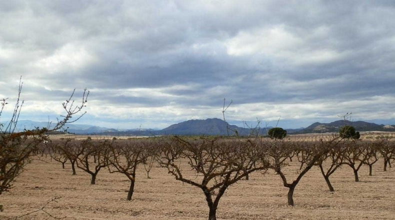 Murcia - Cieza - 480000m2