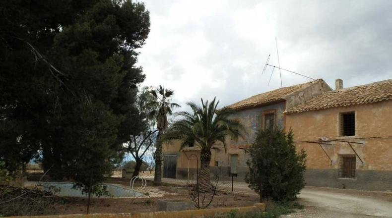 Murcia - Cieza - 480000m2