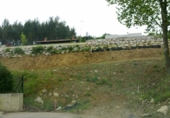 Sòl urbà en venda a la Arce, Urbanización La Mina, ref.: TR72503 foto