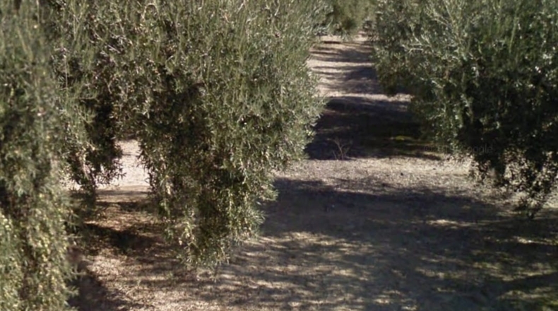 Jaén - Alcalá la Real - 2642m2