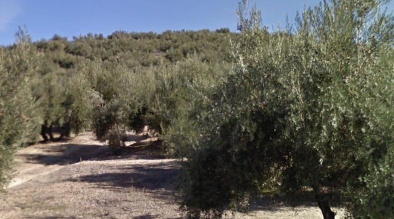 Jaén - Alcalá la Real - 2642m2