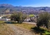 Terreny no urbanitzable en venda a la Camino de las Carihuelas, Deifontes, ref.: TR64525 foto