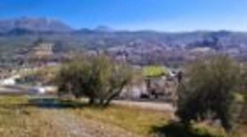 Granada - Deifontes - 13707m2