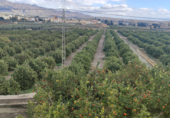 Non-developable land for sale on Bo del Chuche 16, Benahadux, ref: TR72517 photo