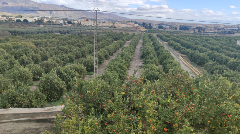 Almería - Benahadux - 73000m2