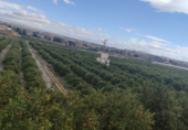 Non-developable land for sale on Bo del Chuche 16, Benahadux, ref: TR72517 photo