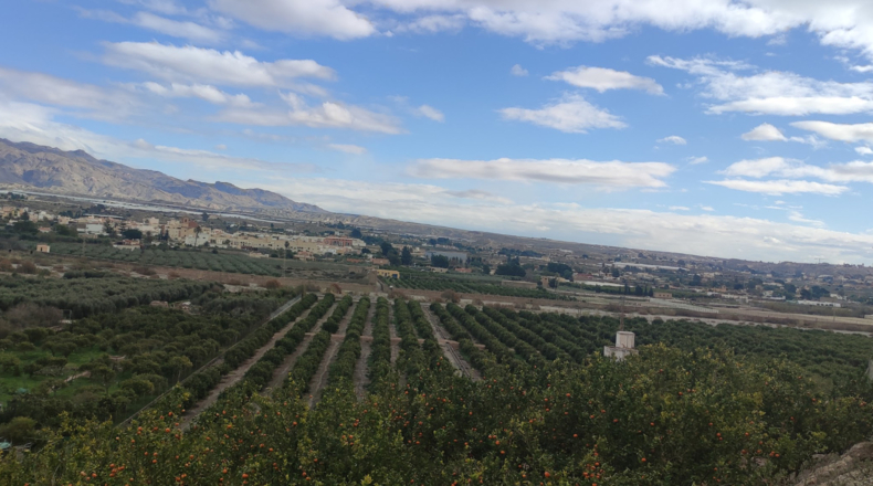 Almería - Benahadux - 73000m2