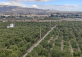 Non-developable land for sale on Bo del Chuche 16, Benahadux, ref: TR72517 photo