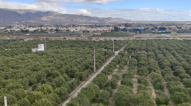 Almería - Benahadux - 73000m2