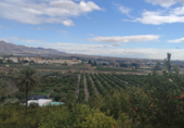 Non-developable land for sale on Bo del Chuche 16, Benahadux, ref: TR72517 photo