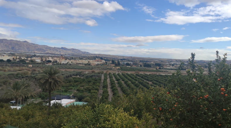 Almería - Benahadux - 73000m2