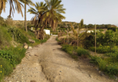 Non-developable land for sale on Bo del Chuche 16, Benahadux, ref: TR72517 photo