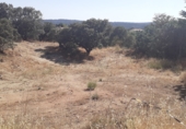 Sòl urbà en venda a la Calle Viñas viejas 45, Colmenarejo, ref.: TR72520 foto