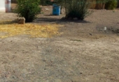 Stone house with land for sale on Cañada Real de Utrera a Villamartín, El Palmar de Troya, ref: TR72523 photo