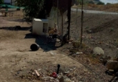 Stone house with land for sale on Cañada Real de Utrera a Villamartín, El Palmar de Troya, ref: TR72523 photo