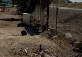Stone house with land for sale on Cañada Real de Utrera a Villamartín, El Palmar de Troya, ref: TR72523 photo