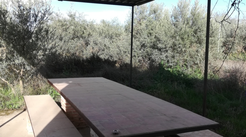 Granada - Gabia Chica - 3170m2