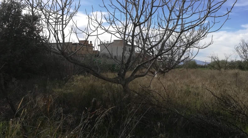 Granada - Gabia Chica - 3170m2