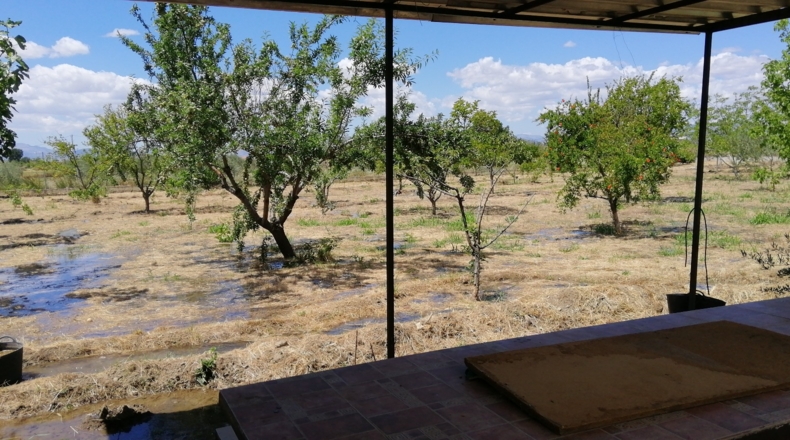 Granada - Gabia Chica - 3170m2
