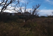 Terreny en venda a la Gabia Chica, ref.: TR72537 foto