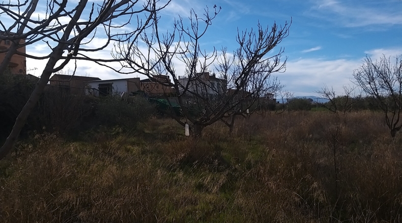 Granada - Gabia Chica - 3170m2