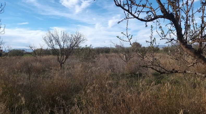 Granada - Gabia Chica - 3170m2