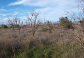 Terreny en venda a la Gabia Chica, ref.: TR72537 foto