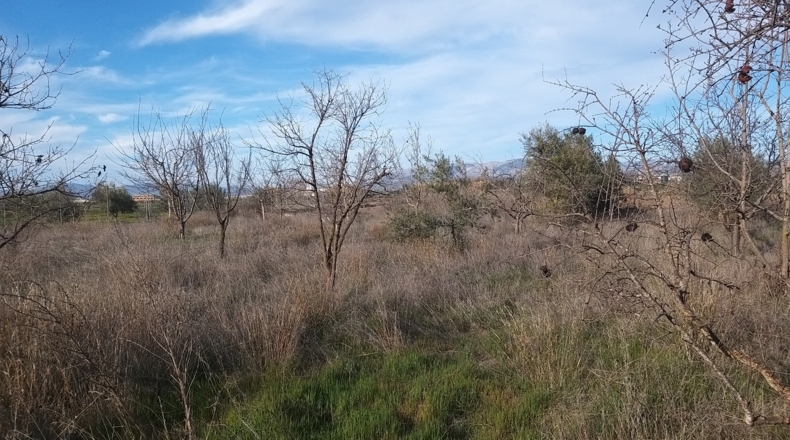 Granada - Gabia Chica - 3170m2