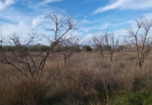 Terreny en venda a la Gabia Chica, ref.: TR72537 foto