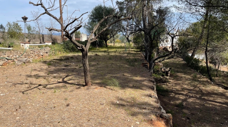 Barcelona - Sant Andreu de la Barca - 517m2