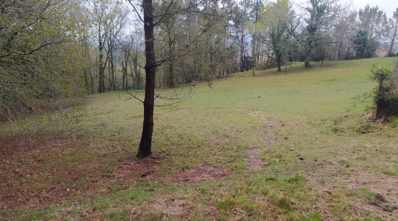 Pontevedra - Chacente - 5040m2