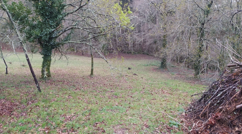 Pontevedra - Chacente - 5040m2