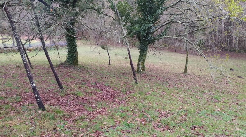 Pontevedra - Chacente - 5040m2